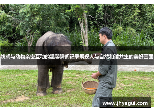 姚明与动物亲密互动的温馨瞬间记录展现人与自然和谐共生的美好画面
